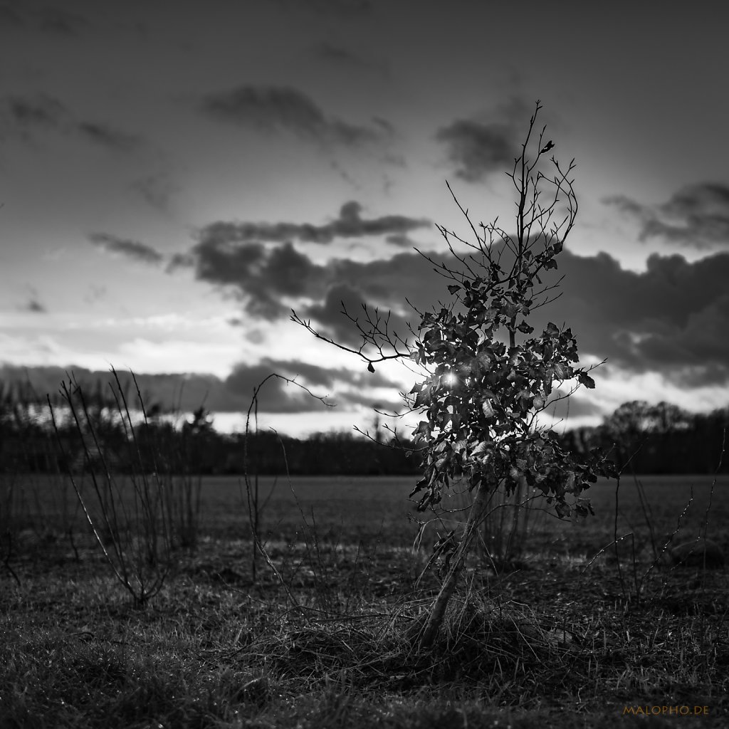 01 | 25 - Vorabendglühen