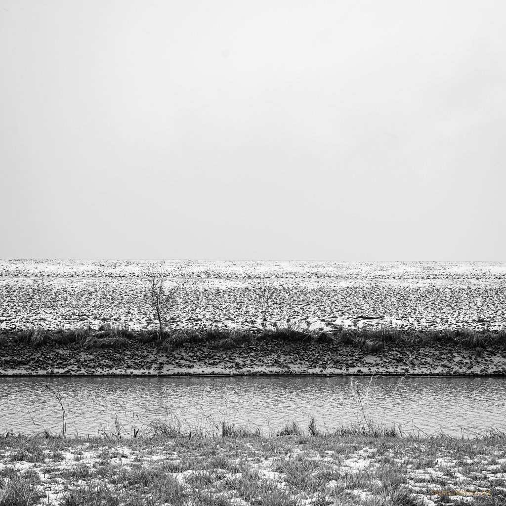 02 | 04 - Schwinge Winter I