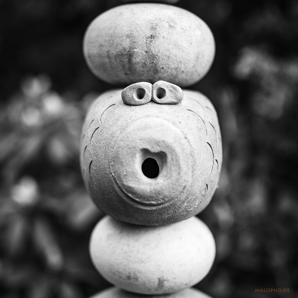05 | 28 - Glücksfisch