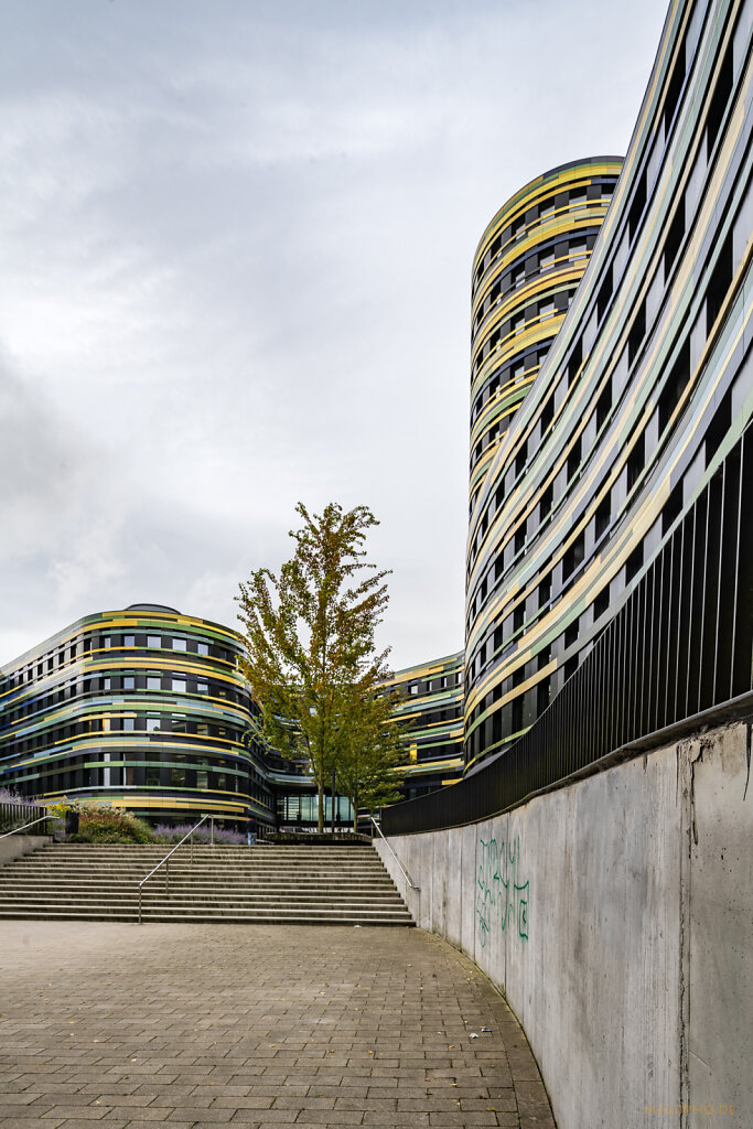 Wilhelmsburg August 2021