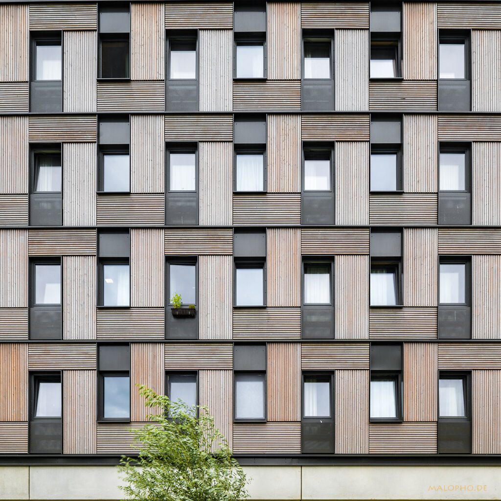 Blumenkasten I