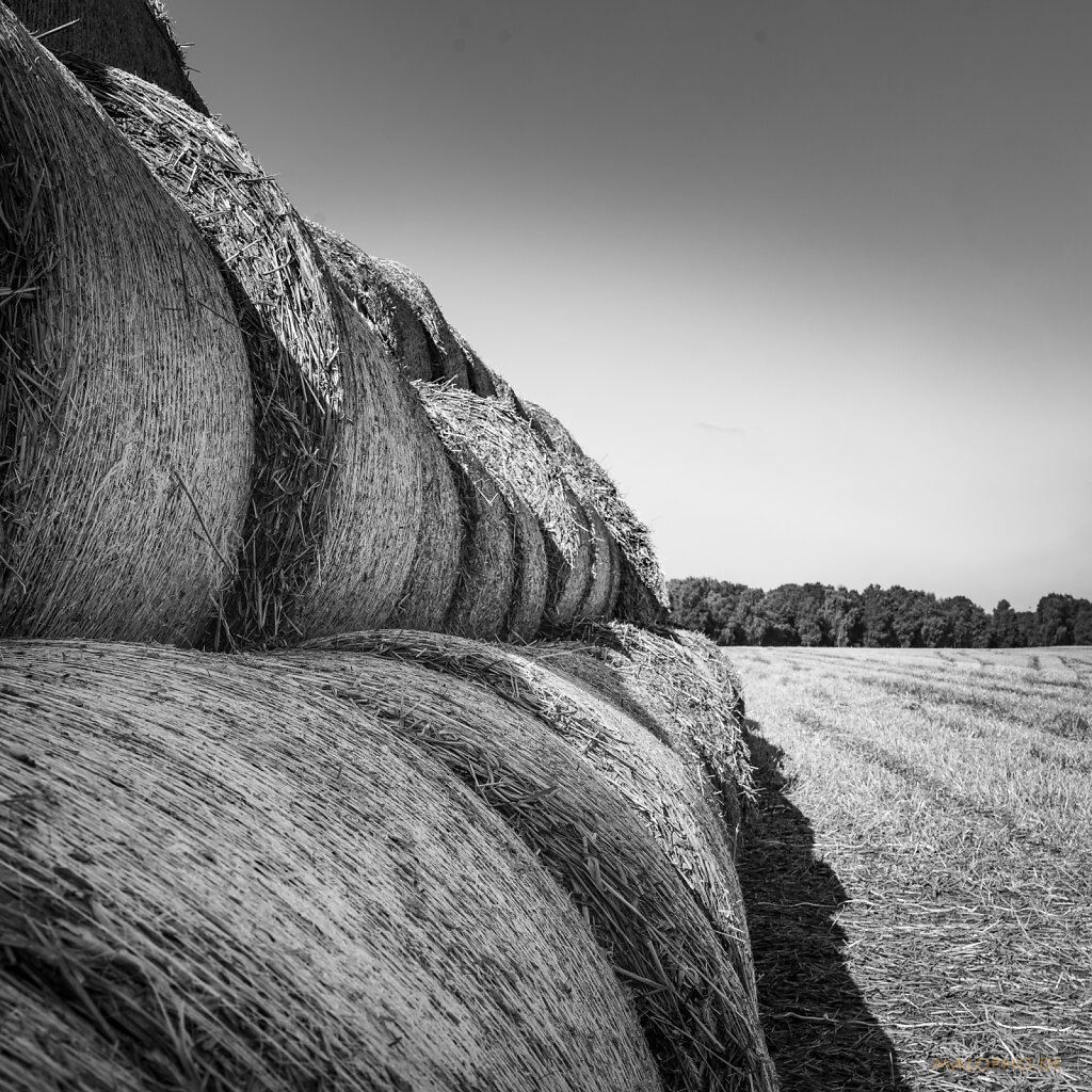 08 | 31 - Strukturen Landwirtschaft