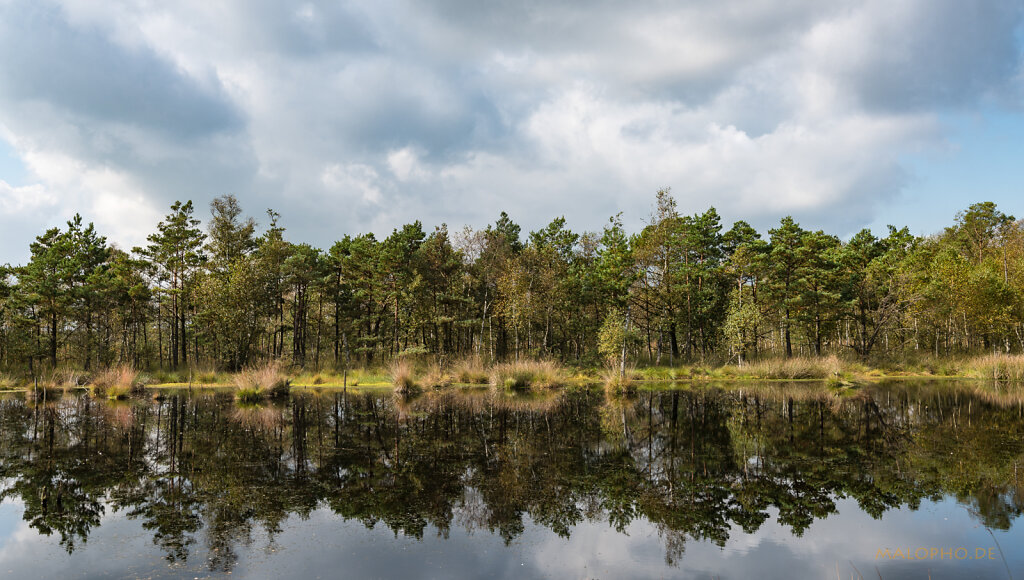 Moorsee I