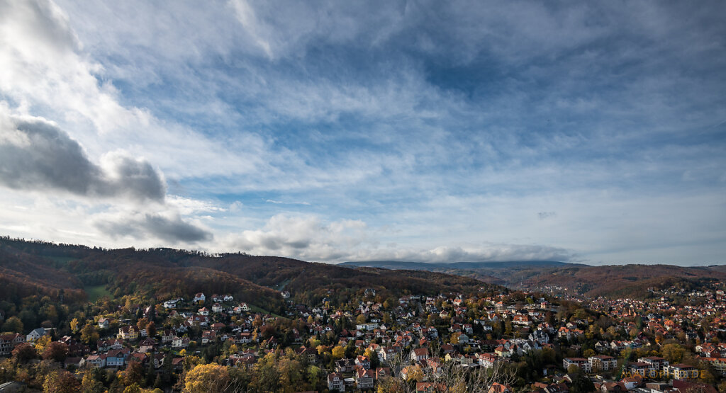 Stadtpanorama-1