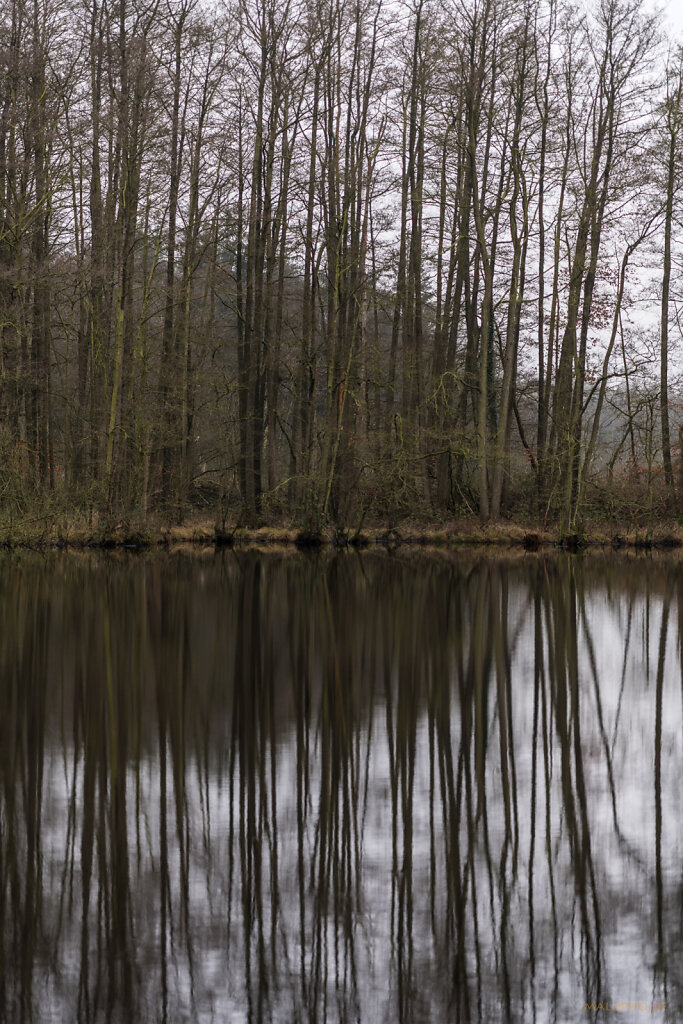 Spiegelstrukturen