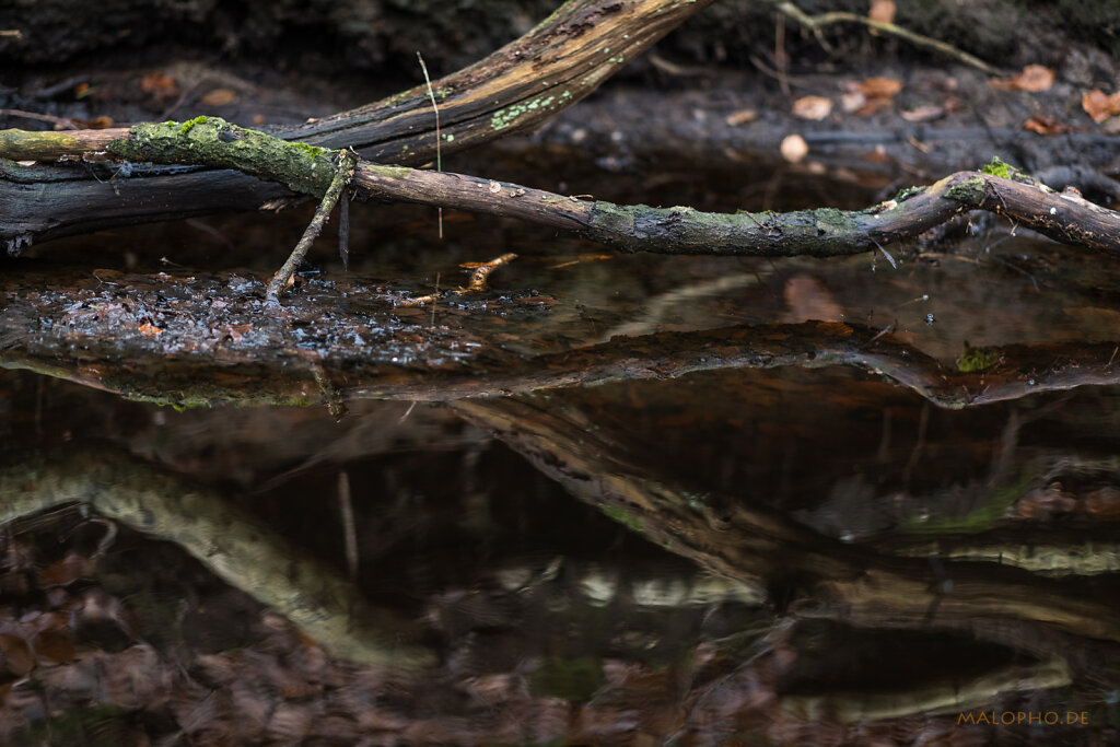 Wasserkante