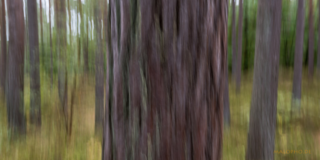 Malerische Fotgrafie