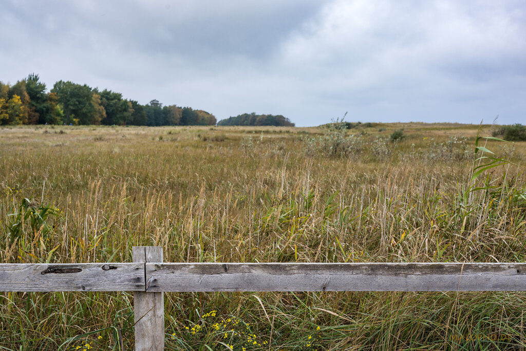 Hinter den Dünen