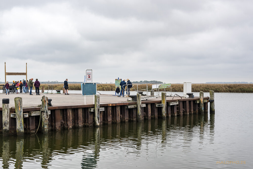 Hafen Zingst