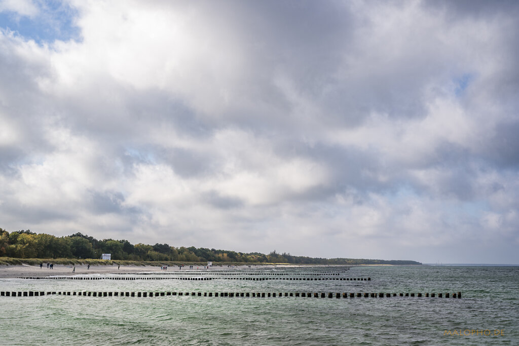 Strandblick Zingst