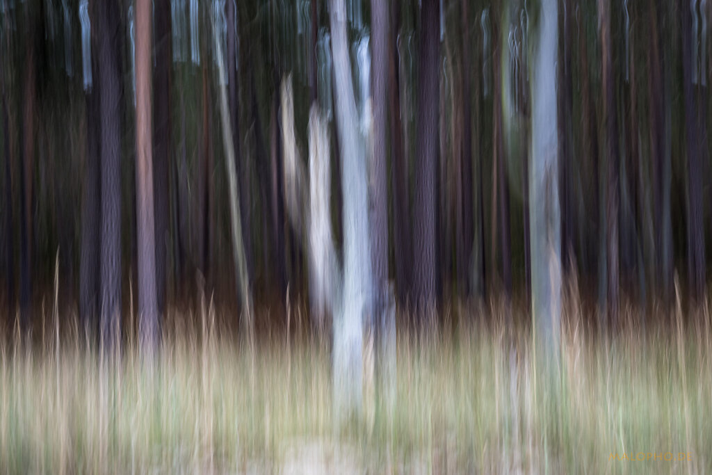 ICM - Weststrand HellDunkel