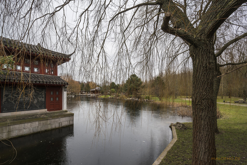 Garten China 2