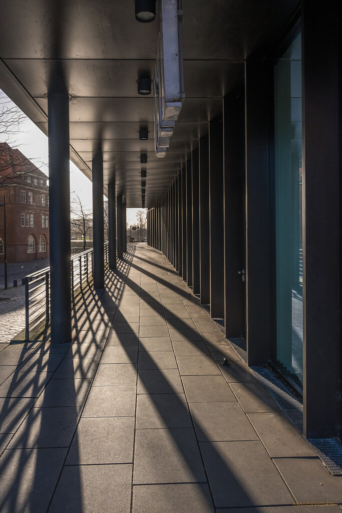 School of Management